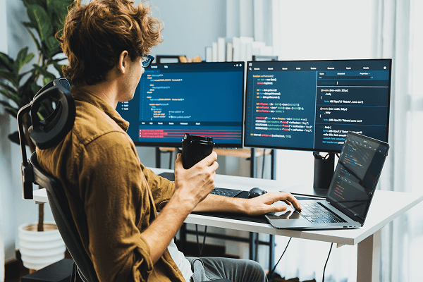 Software Developer